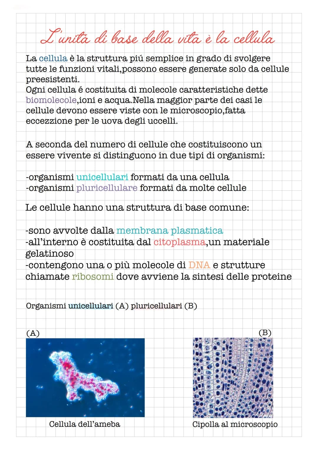 # Le caratteristiche dei viventi
La scienza che studia la vita si chiama biologia:
è una scienza sperimentale e comprende molte
discipline