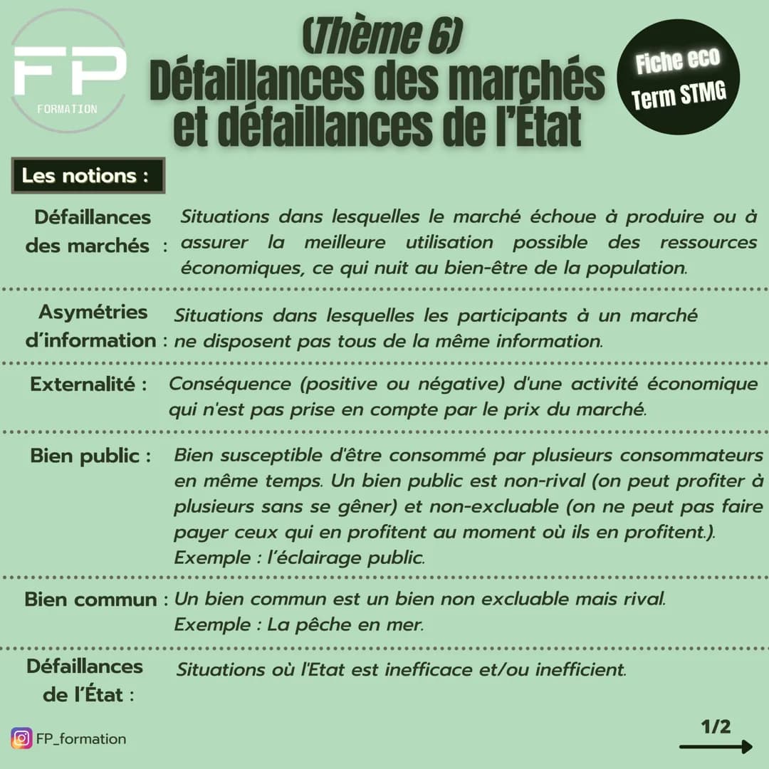 (Thème 6)
# Défaillances des marchés et défaillances de l'Etat
Fiche eco
Term STMG
## Les notions:
**Défaillances des marchés:** Situation