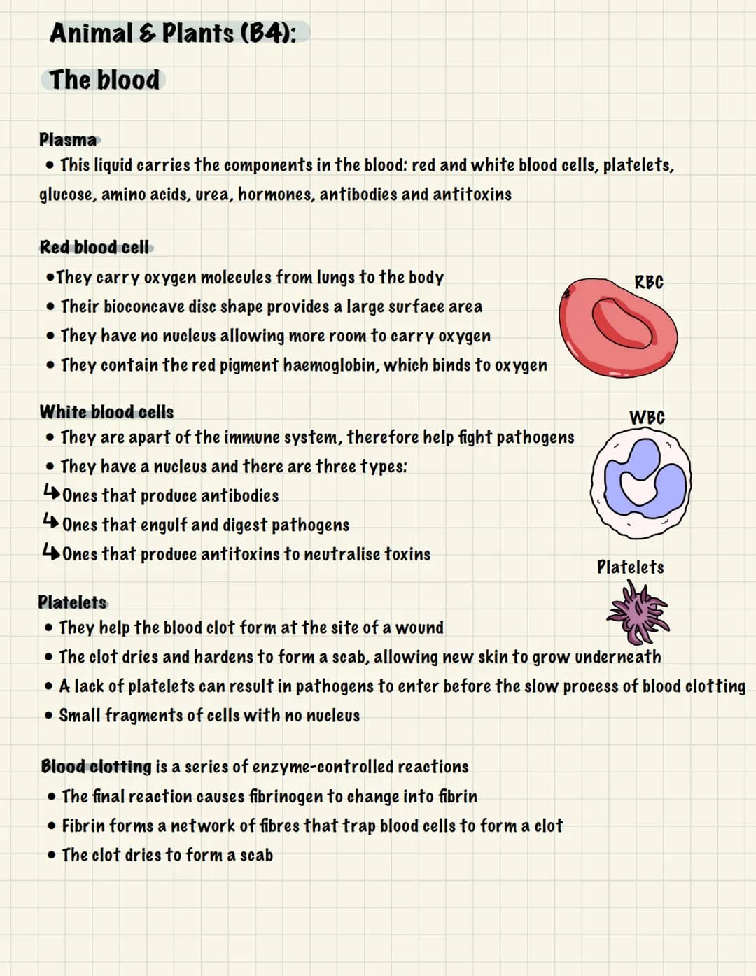 # BIOLOGY
UNIT 1: CELL BIOLOGY
Cell Structure (B1):
Eukaryotic- Membrane-bound organelles Prokaryotic- Small, unicellular organism
Nucleus