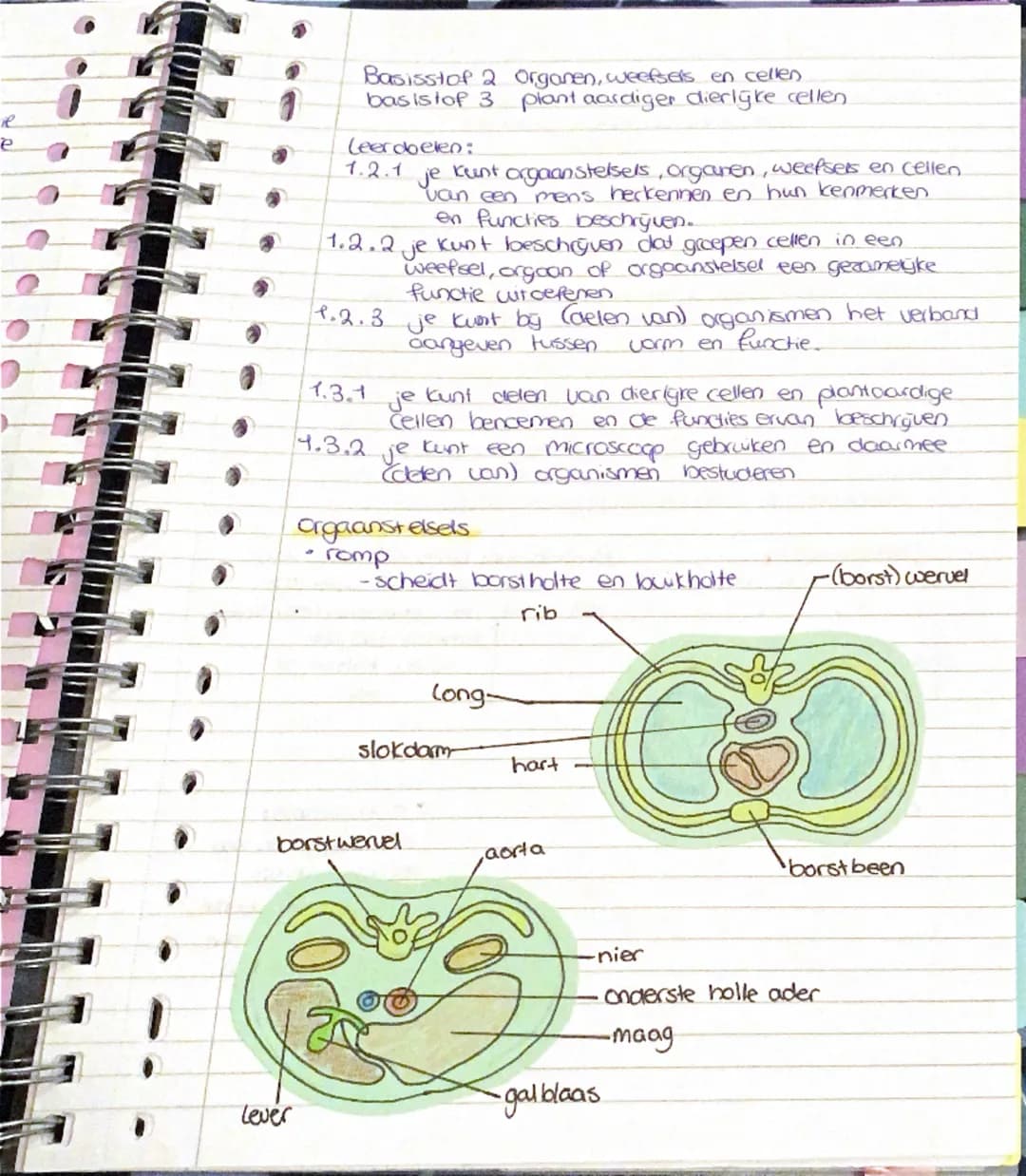 # Biologie Hoofdstuk 1
basisstof 1: biologie is overal
Leercbelen: Fje kunt beschrijven wat biologie is en
1.1.19 uitleggen dat biologie o