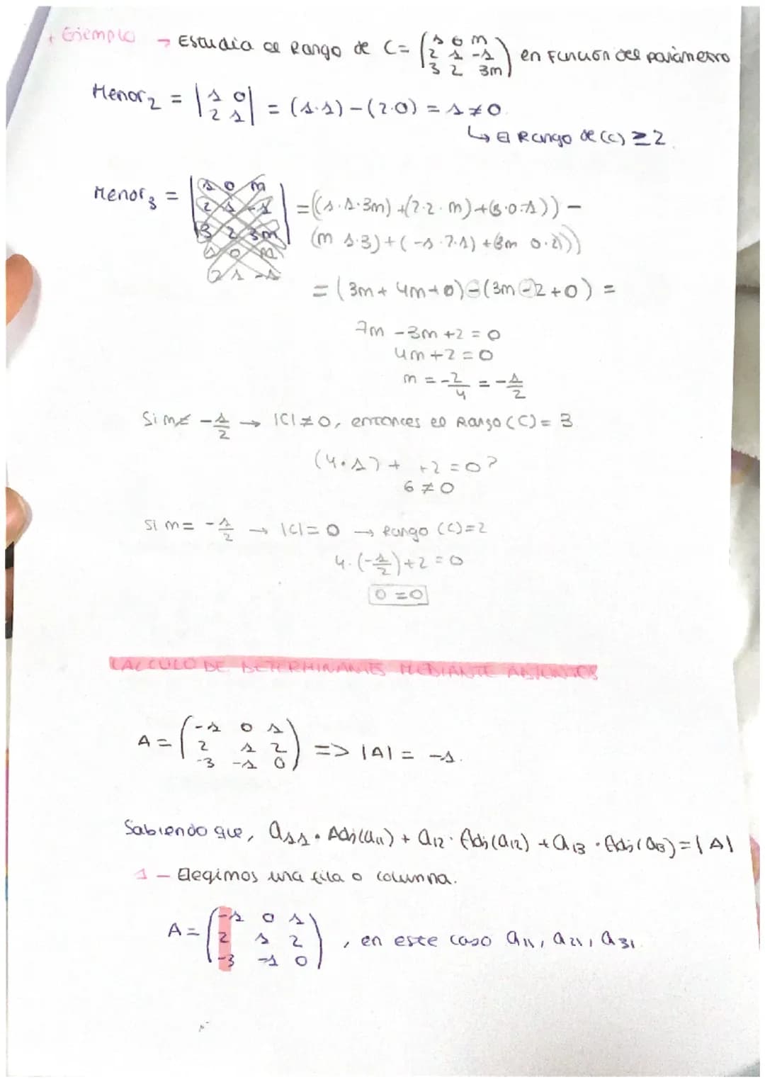 # DETERMINANTES
* Soco en mamices madradas (2x2), (3x3).
$|A|=\begin{vmatrix} a_{11} & a_{12} \ a_{21} & a_{22} \end{vmatrix}$
$|A| = a