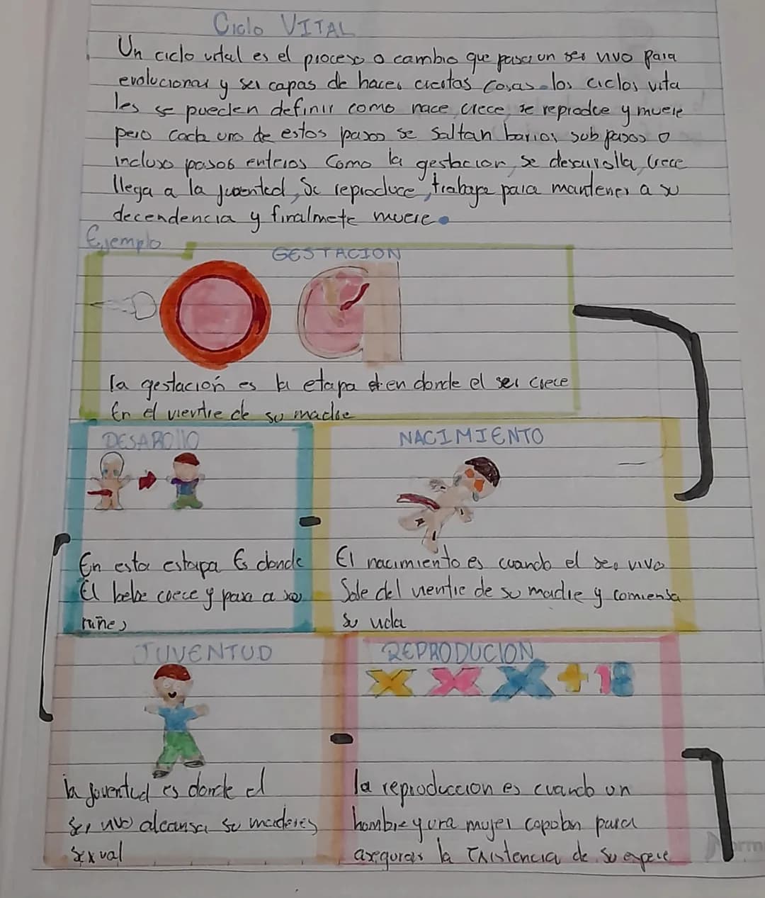 # Ciclo VITAL
Un ciclo urtal es el proceso a cambio que pasa un ser vivo para
evolucionar y ser capas de hacer cicitas cosas - los ciclos v