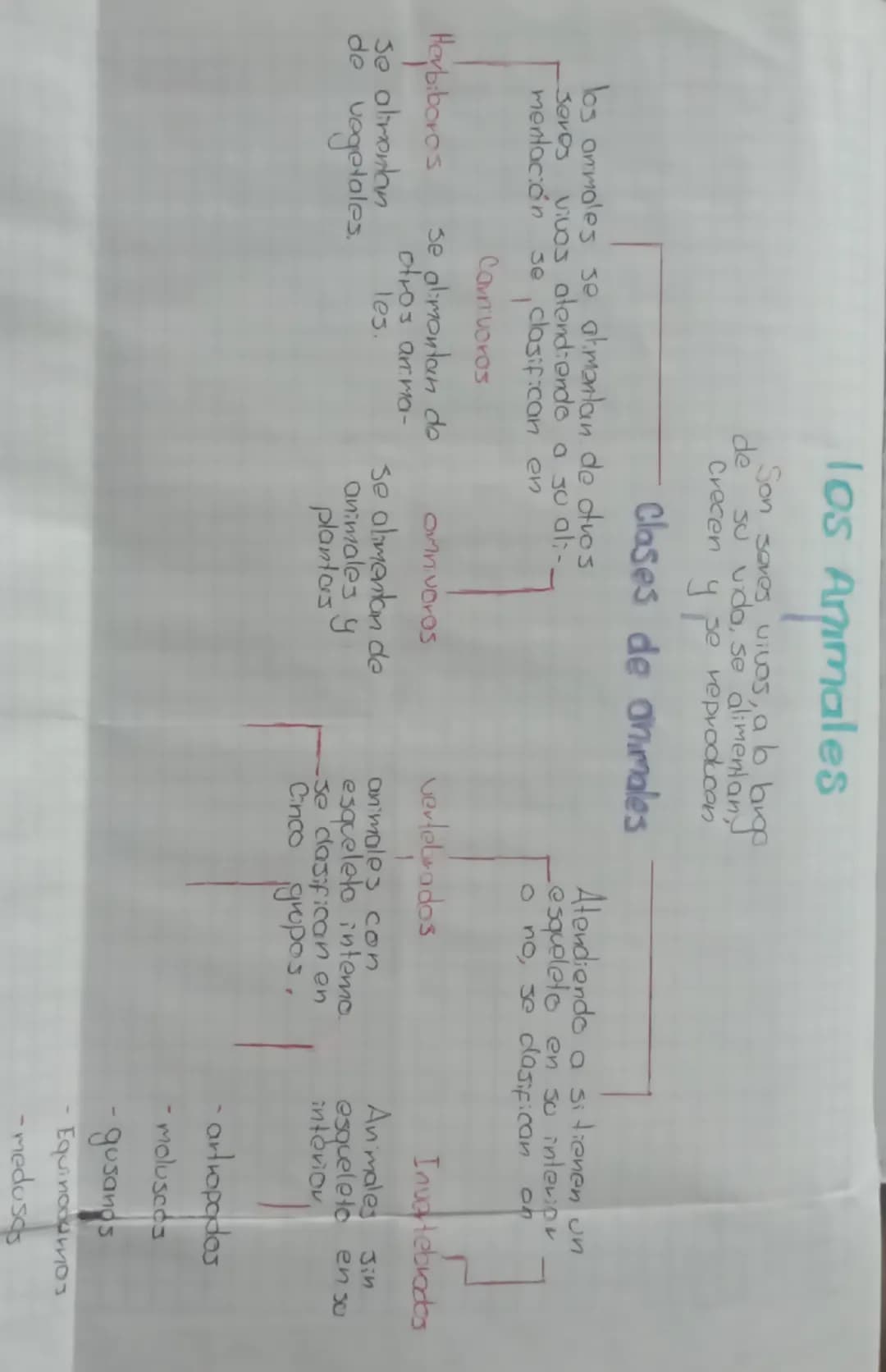 # los Animales
Son seres vivos, a lo largo
de su vida, se alimentany
Crecen y se reproducon
## Clases de animales
los ammales se atmantan