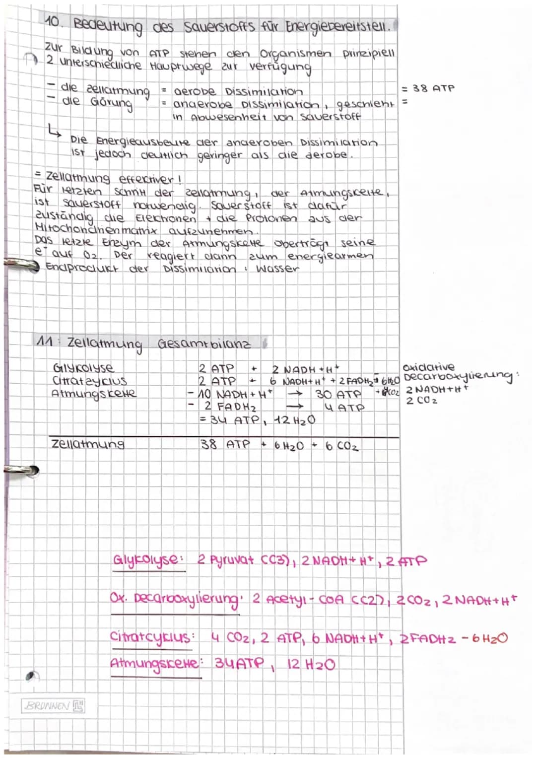 Dissimilation/
Energiestoffwechsel
ABITUR # Dissimilation
1. Fachbegriffe zum Energiestoffwechsel erklären
- Dissimi lation
Energiestof