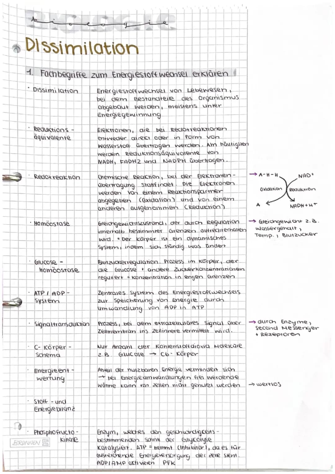 Dissimilation/
Energiestoffwechsel
ABITUR # Dissimilation
1. Fachbegriffe zum Energiestoffwechsel erklären
- Dissimi lation
Energiestof