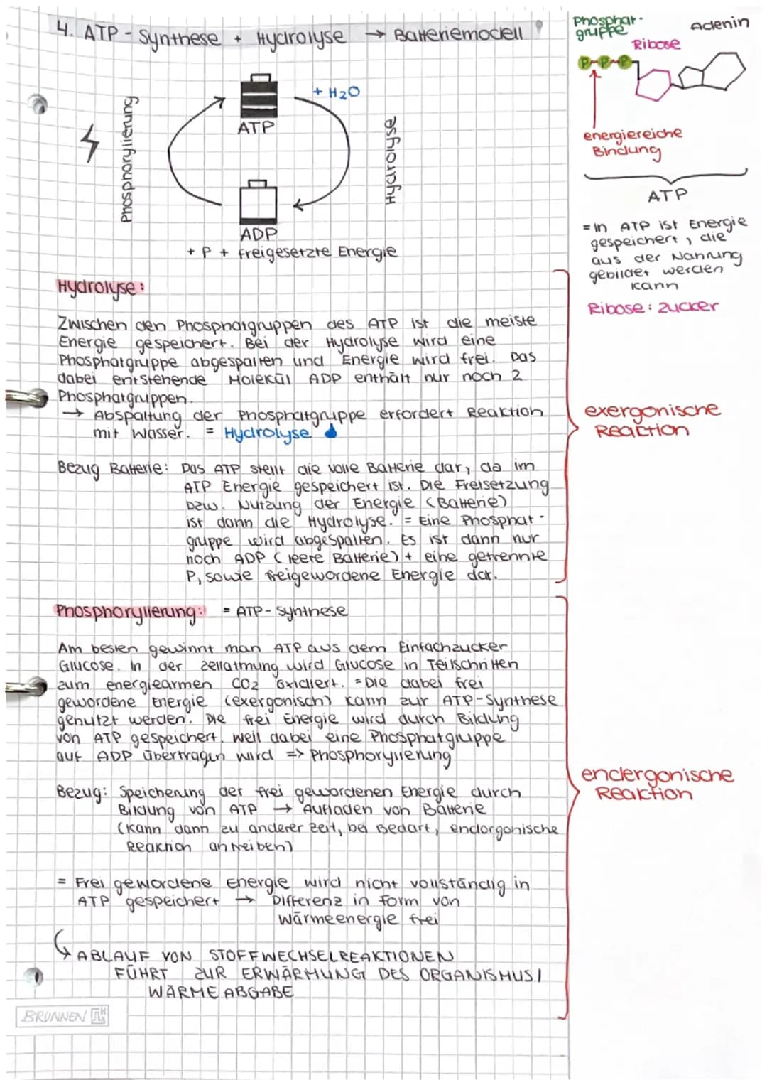 Dissimilation/
Energiestoffwechsel
ABITUR # Dissimilation
1. Fachbegriffe zum Energiestoffwechsel erklären
- Dissimi lation
Energiestof