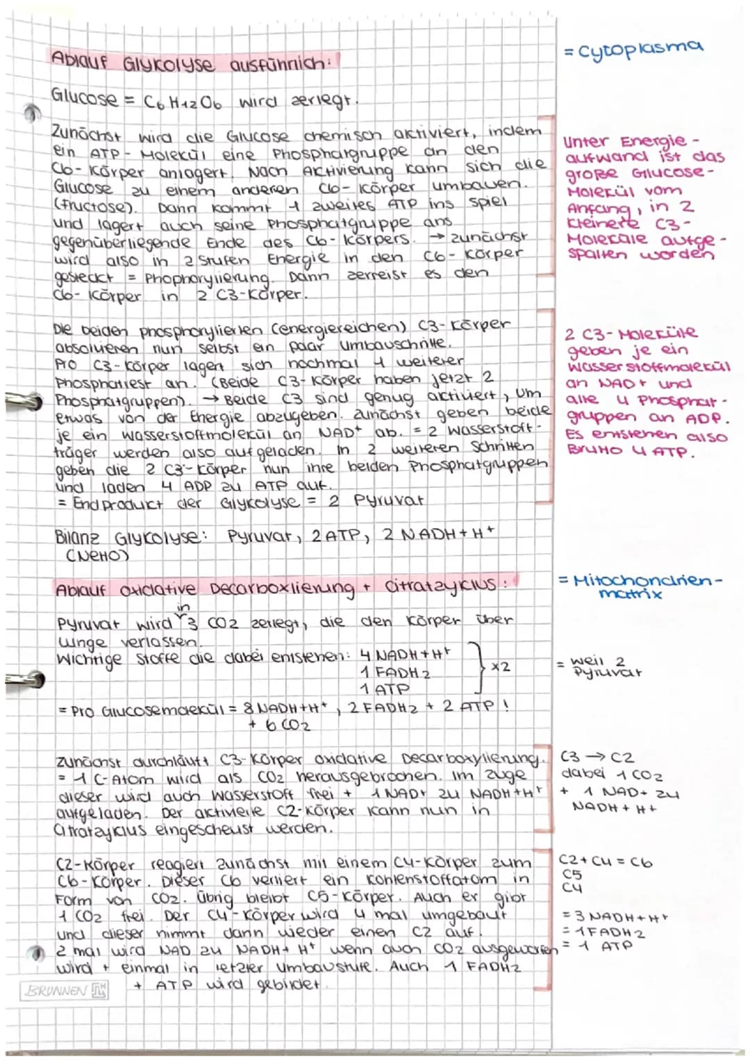 Dissimilation/
Energiestoffwechsel
ABITUR # Dissimilation
1. Fachbegriffe zum Energiestoffwechsel erklären
- Dissimi lation
Energiestof