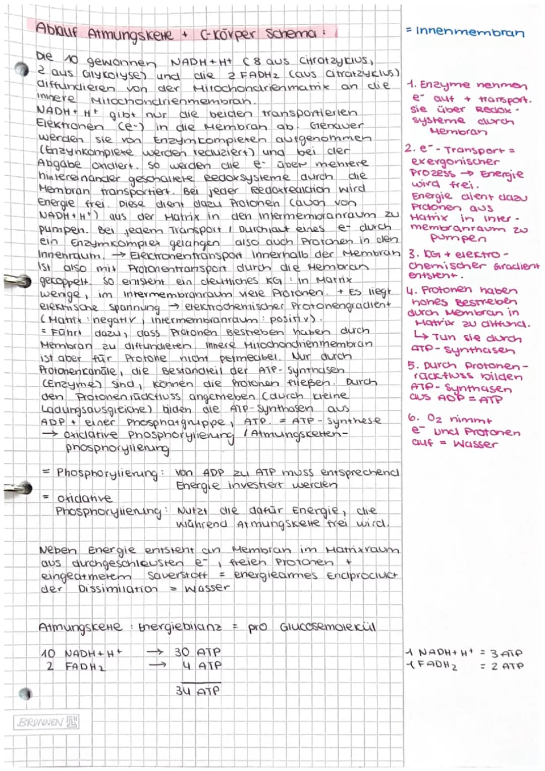 Dissimilation/
Energiestoffwechsel
ABITUR # Dissimilation
1. Fachbegriffe zum Energiestoffwechsel erklären
- Dissimi lation
Energiestof