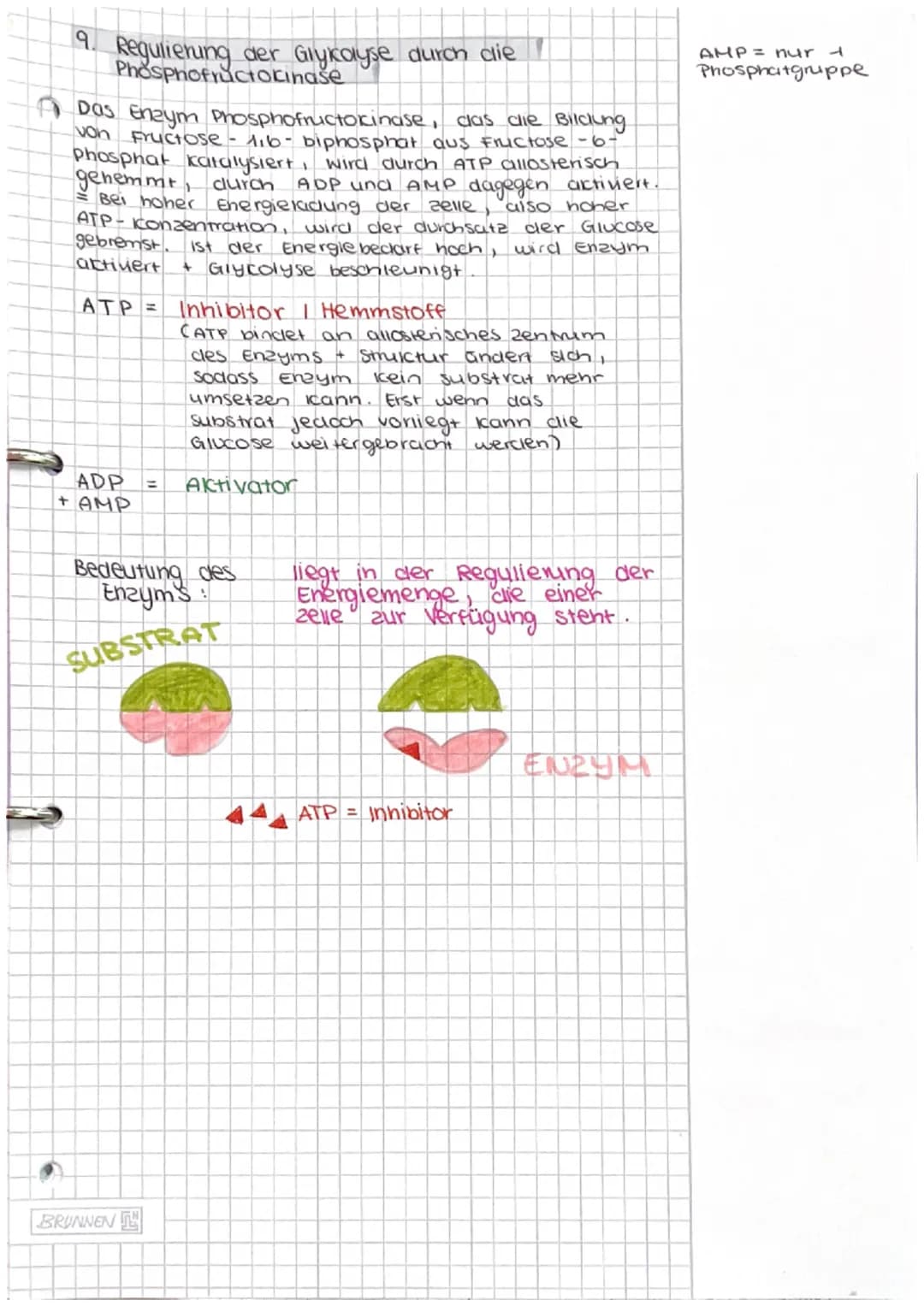 Dissimilation/
Energiestoffwechsel
ABITUR # Dissimilation
1. Fachbegriffe zum Energiestoffwechsel erklären
- Dissimi lation
Energiestof