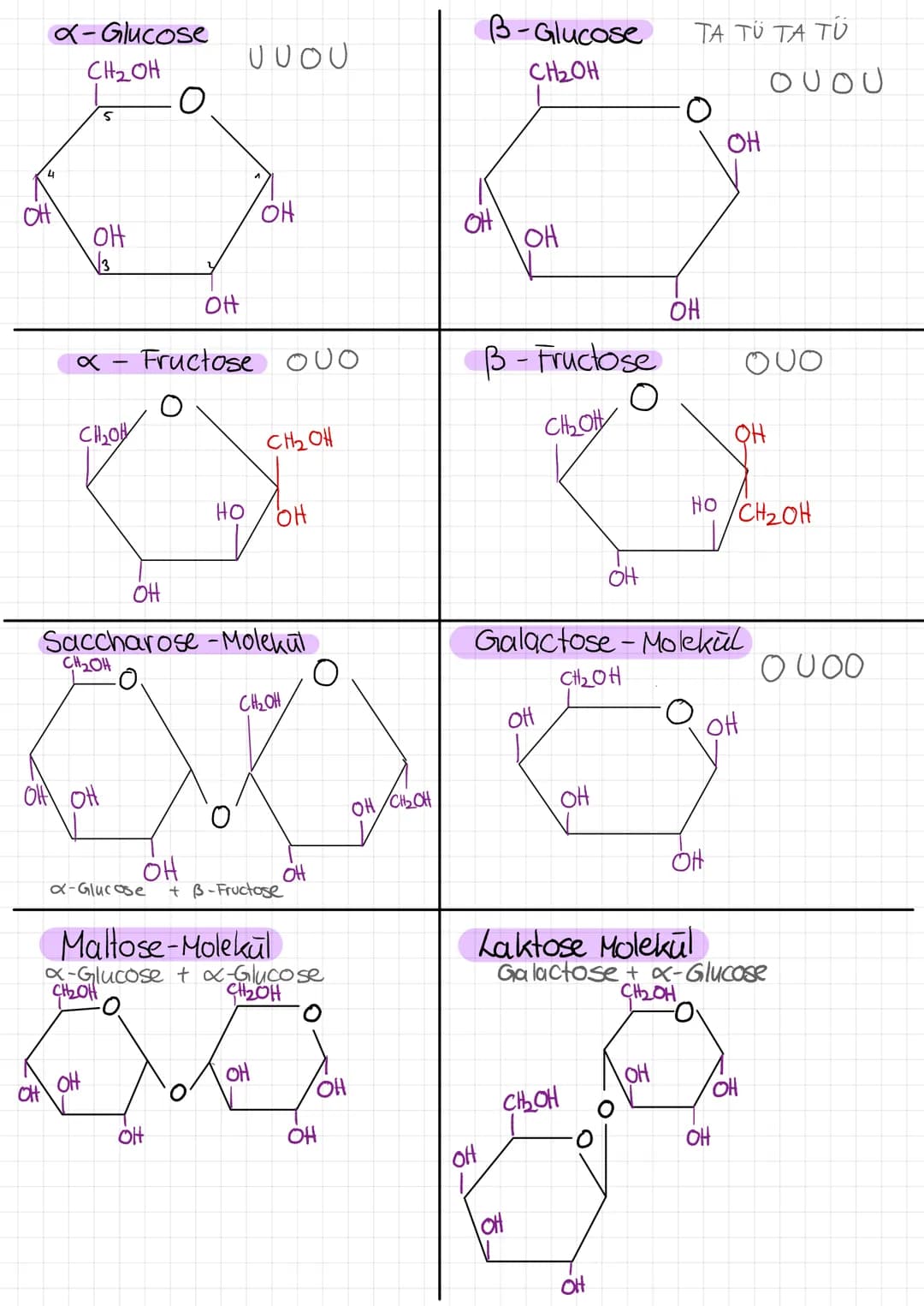 # Monosaccaride
Glucose
C6 (H20)6 C6H12O6
- Traubenzucker $\hat{=}$ Dextrose
- Vertreter der Hexosen (6-C Atome) und Allosen (Aldehydgru