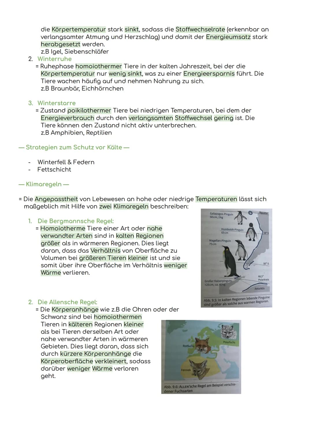 - Komponenten eines Ökosystems
Übersicht Ökologie
Biosphäre
= die Gesamtheit der Ökosysteme auf der Erde
Ökosystem
= eine funktionelle Ei