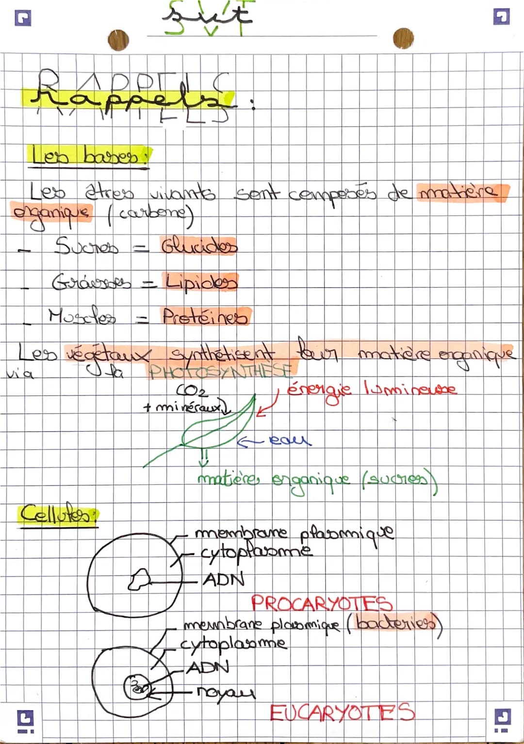 sut
# Rappels:
## Les bases:
Les atres vivants sont composés de matière
organique (carbone)
- Sucres = Glucides
- Graisses = Lipides
- Muscl