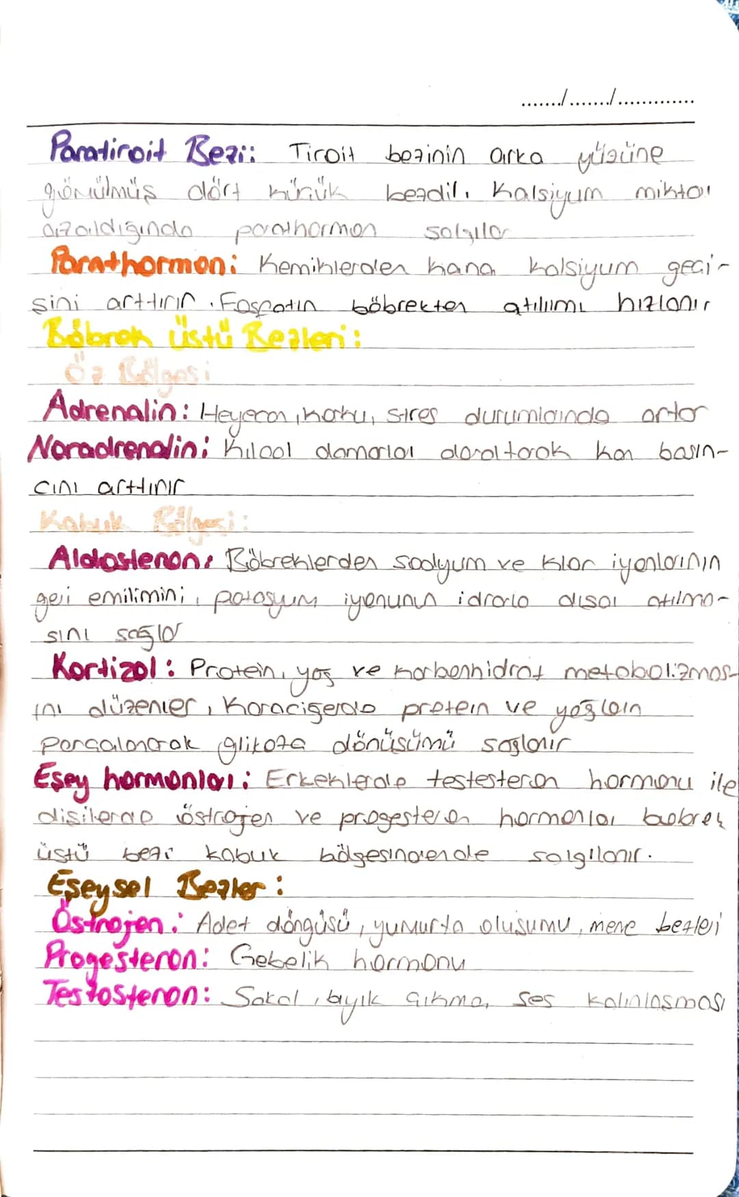 BİYOLOJİ
....................
Nöron: içten ve diston gelen uyarıları alma
değerlendirerek ilgili kas ve berbe iletir.
Hücre gövdesi: metabol