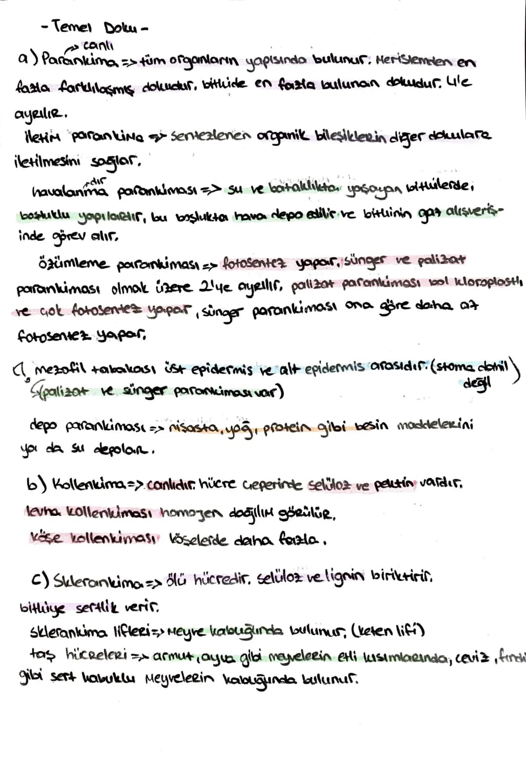 # -İletim Doku-
* ksilem (adun boru) ⇒ su ve minerad taşır. (inorganik madde)
trake ve trakeitlerden oluşurlar. dü nücrelerdir, lignin bir
