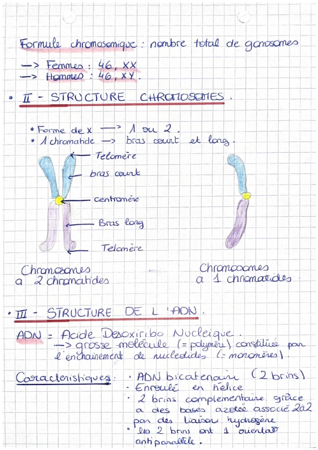 # BIOLOgie
L'information génétique
1
* Definitions
Info génétique = information héréditaire porté par les
gènes d'un individu
génome: