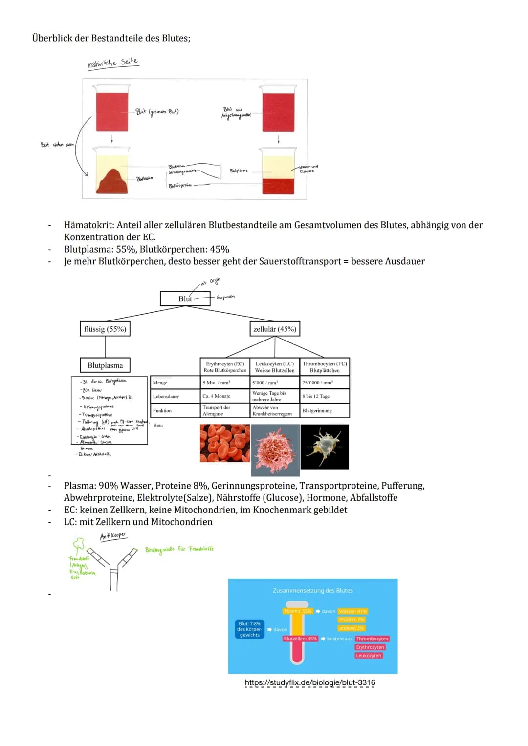 .... Biologieprüfung 4.2..
3.1 Grosser und
kleiner Blutkreislauf
- Du kennst die Hauptwege des Blutes durch unseren
Körper.
- Du kannst un