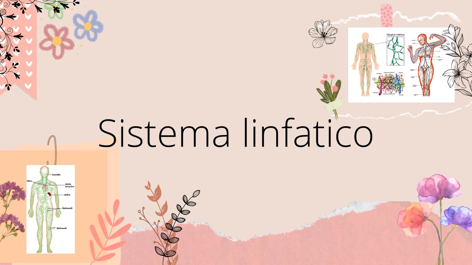 # Sistema linfatico
- tonsille
- timo
- dotto toracico
- milza
- linfonodi
- linfonodi # Che cos'è il sistema
linfatico?
|| sistema linfoi