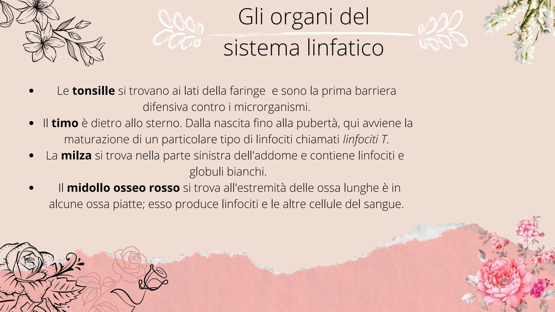# Sistema linfatico
- tonsille
- timo
- dotto toracico
- milza
- linfonodi
- linfonodi # Che cos'è il sistema
linfatico?
|| sistema linfoi