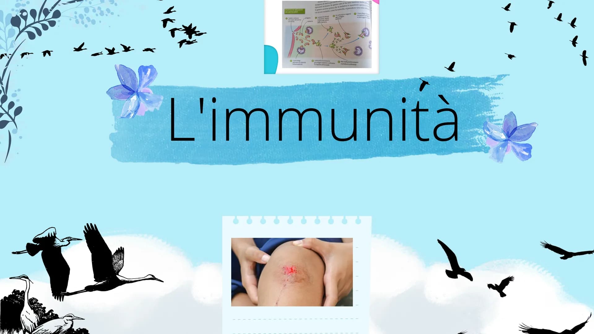 # Sistema linfatico
- tonsille
- timo
- dotto toracico
- milza
- linfonodi
- linfonodi # Che cos'è il sistema
linfatico?
|| sistema linfoi