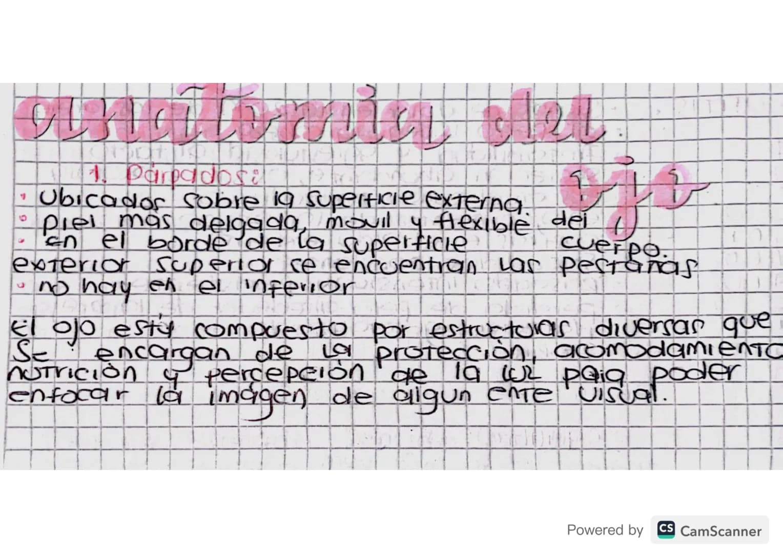 f
1. Parpados:
* Ubicados sobre la superficie externa.
9
piel mas delgada, movil y flexible dei /
En el borde de la superficie cuerpo.
ext
