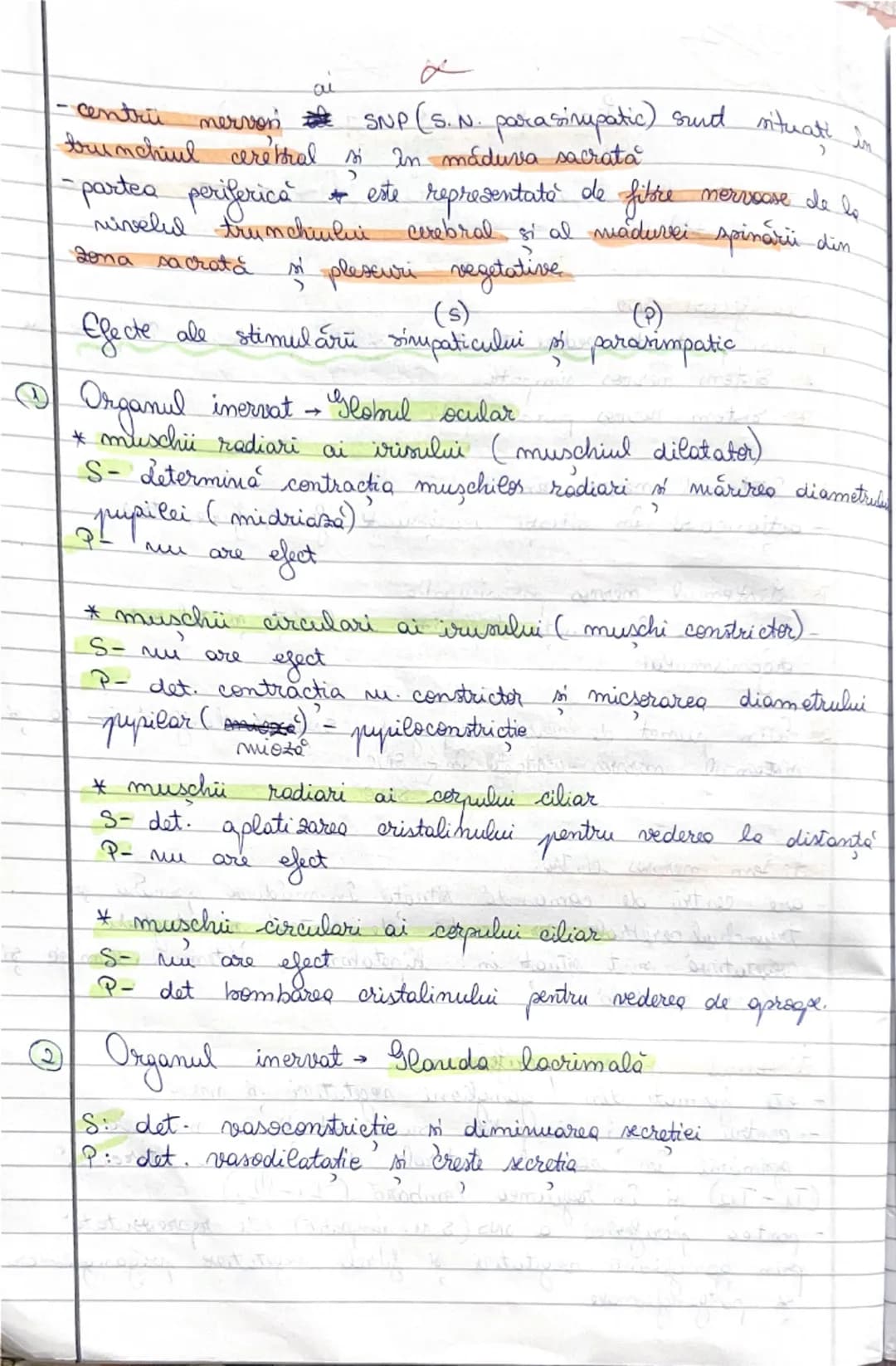 Listemul
mervos vegetateat (SNV)
- este sistemul nervos care coordonează activitatea viscerală
(inconstienta)
Clasificare SNV
1. Din punt d