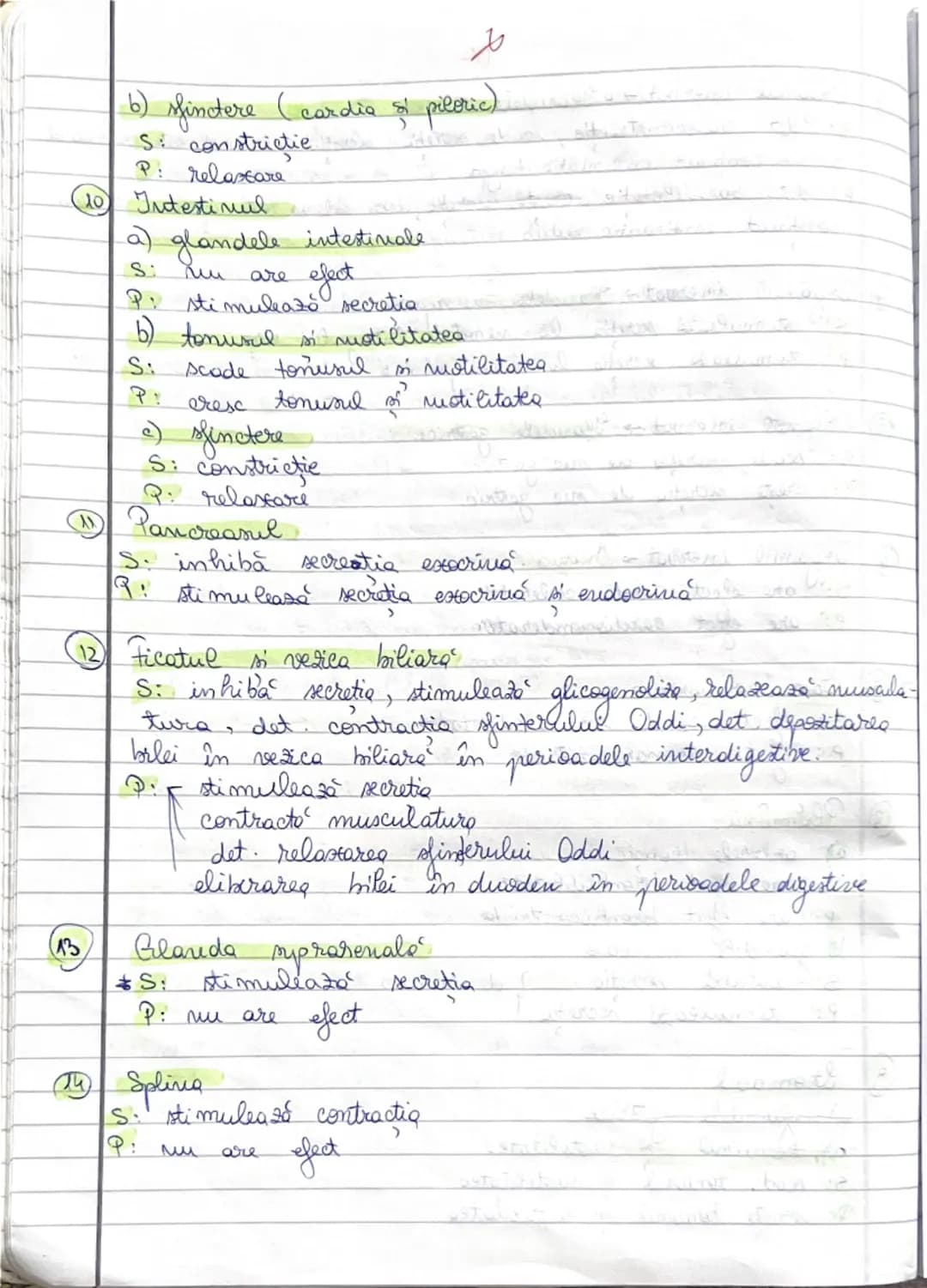 Listemul
mervos vegetateat (SNV)
- este sistemul nervos care coordonează activitatea viscerală
(inconstienta)
Clasificare SNV
1. Din punt d