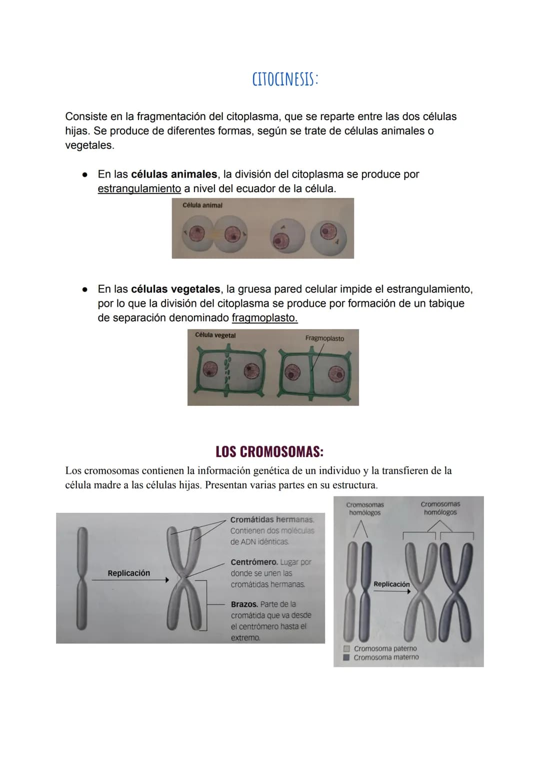 # TEMA 6
LA ORGANIZACIÓN CELULAR DE LOS SERES VIVOS:
1.LA TEORÍA CELULAR:
Se resume en los siguientes puntos:
- CÉLULA:
-Es la unidad e