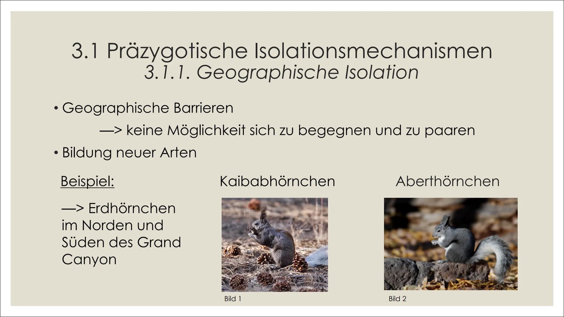 # ARTBILDUNG UND
# ISOLATIONSMECHANISMEN Inhalt
1. Definitionen
2. Artbildung
1. Artkonzepte
2. Formen der Artbildung
4. Quellenver