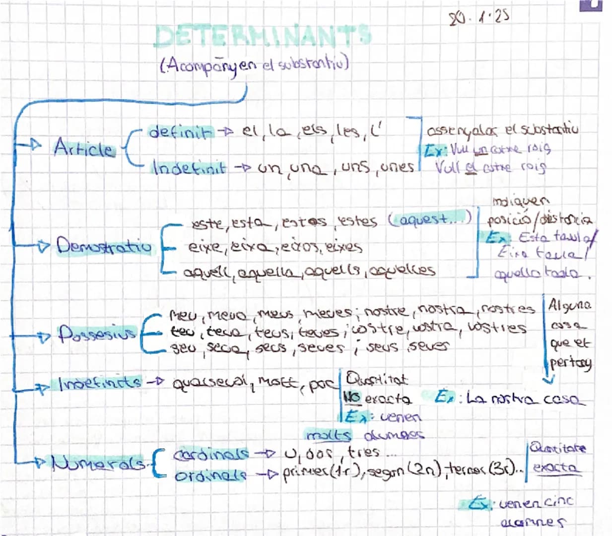 # DETERMINANTS
(Acompanyen el substantiv)
20.1.25
Article C
definitel, la, els, les, ('
assenyalos el scostantiu
Ex: Vue un cotxe roig
Ind