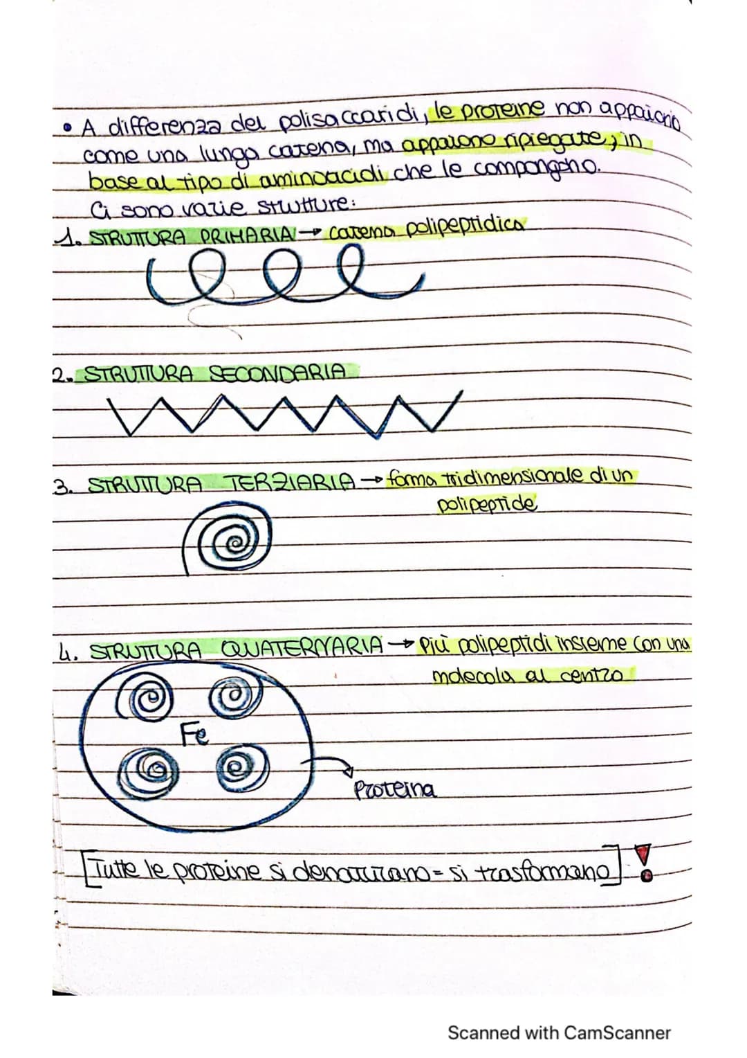# ~LE MOLE COLE ORGANICHE ~
* MOLECOLE ORGANICHE COMPRSTI CHIMICI FORMATI DA
CARBONIO E UN ALTRO
ELEMENTO
forma 4 legomi
covalenti
è alla