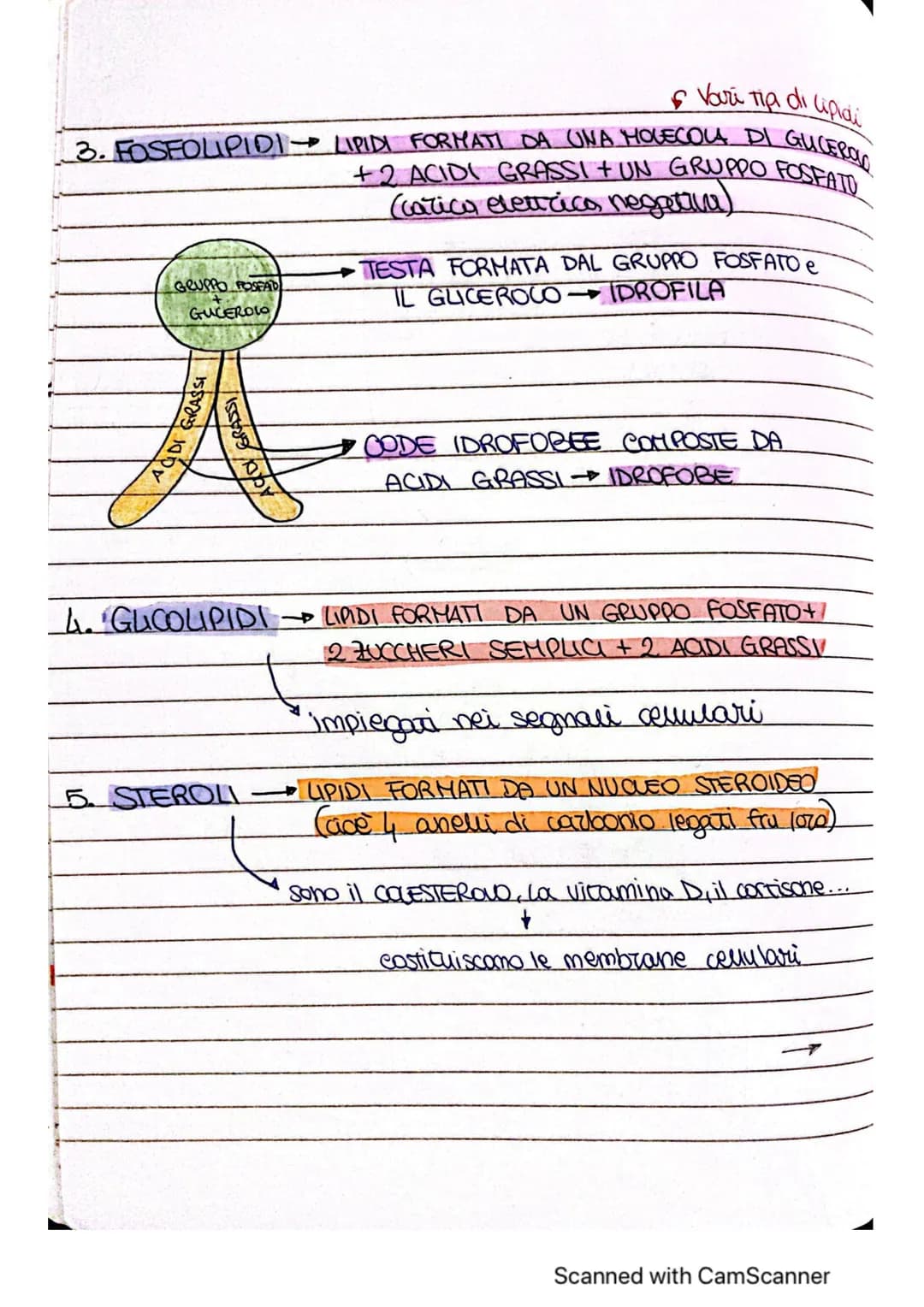 # ~LE MOLE COLE ORGANICHE ~
* MOLECOLE ORGANICHE COMPRSTI CHIMICI FORMATI DA
CARBONIO E UN ALTRO
ELEMENTO
forma 4 legomi
covalenti
è alla