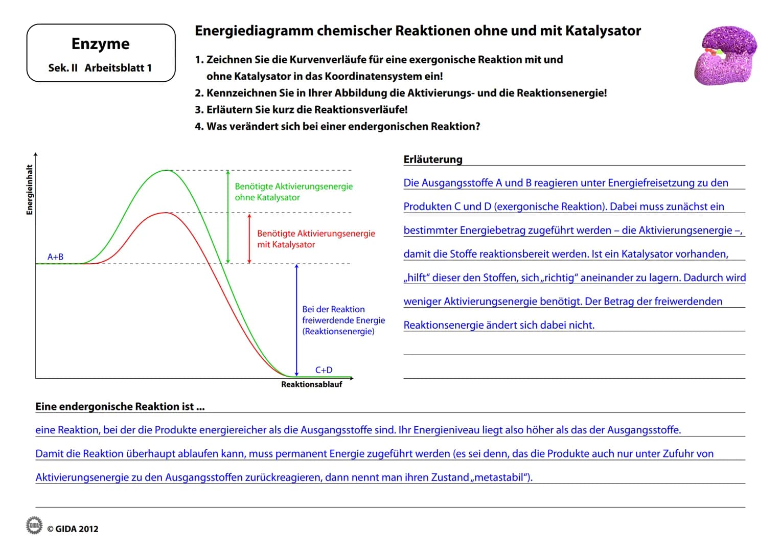 # Enzyme
Arbeitsblätter
(Lehrerversion)
© GIDA 2012 # Energiediagramm chemischer Reaktionen ohne und mit Katalysator
Enzyme
Sek. II Arbe