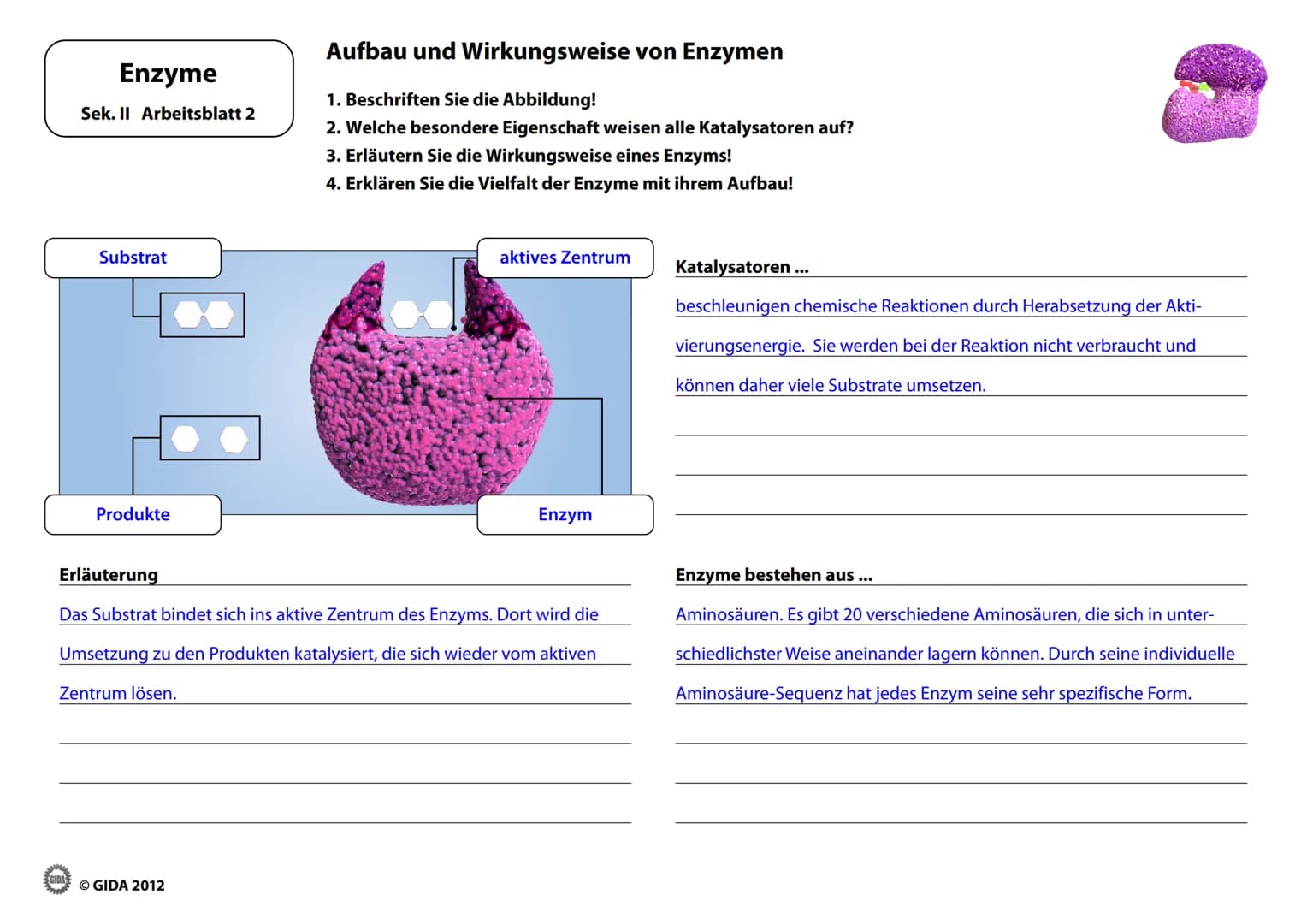 # Enzyme
Arbeitsblätter
(Lehrerversion)
© GIDA 2012 # Energiediagramm chemischer Reaktionen ohne und mit Katalysator
Enzyme
Sek. II Arbe