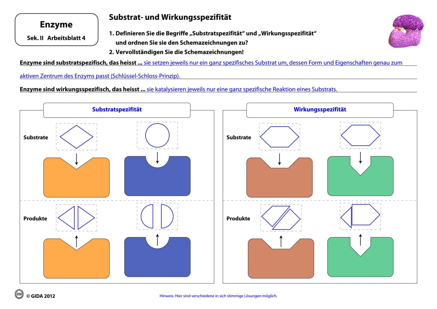 # Enzyme
Arbeitsblätter
(Lehrerversion)
© GIDA 2012 # Energiediagramm chemischer Reaktionen ohne und mit Katalysator
Enzyme
Sek. II Arbe