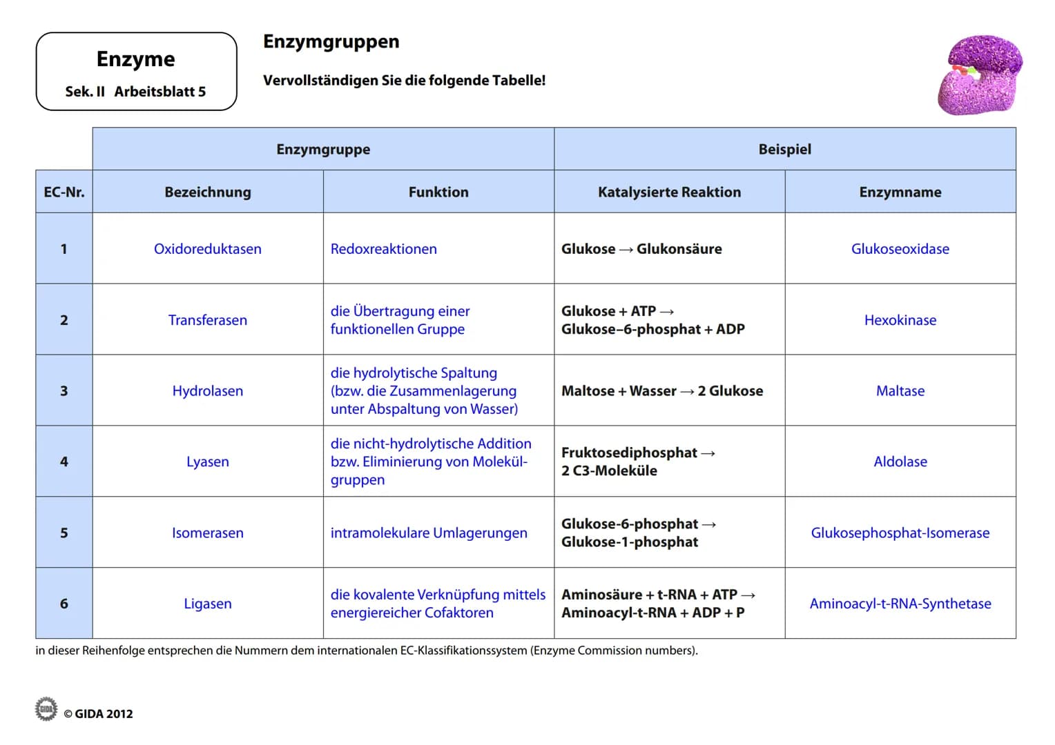 # Enzyme
Arbeitsblätter
(Lehrerversion)
© GIDA 2012 # Energiediagramm chemischer Reaktionen ohne und mit Katalysator
Enzyme
Sek. II Arbe