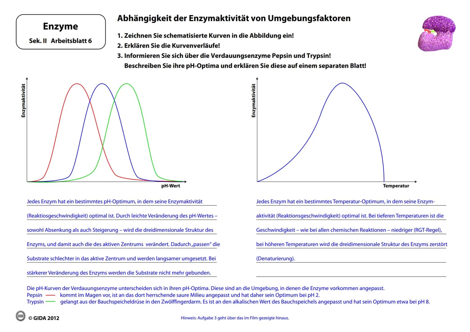 # Enzyme
Arbeitsblätter
(Lehrerversion)
© GIDA 2012 # Energiediagramm chemischer Reaktionen ohne und mit Katalysator
Enzyme
Sek. II Arbe
