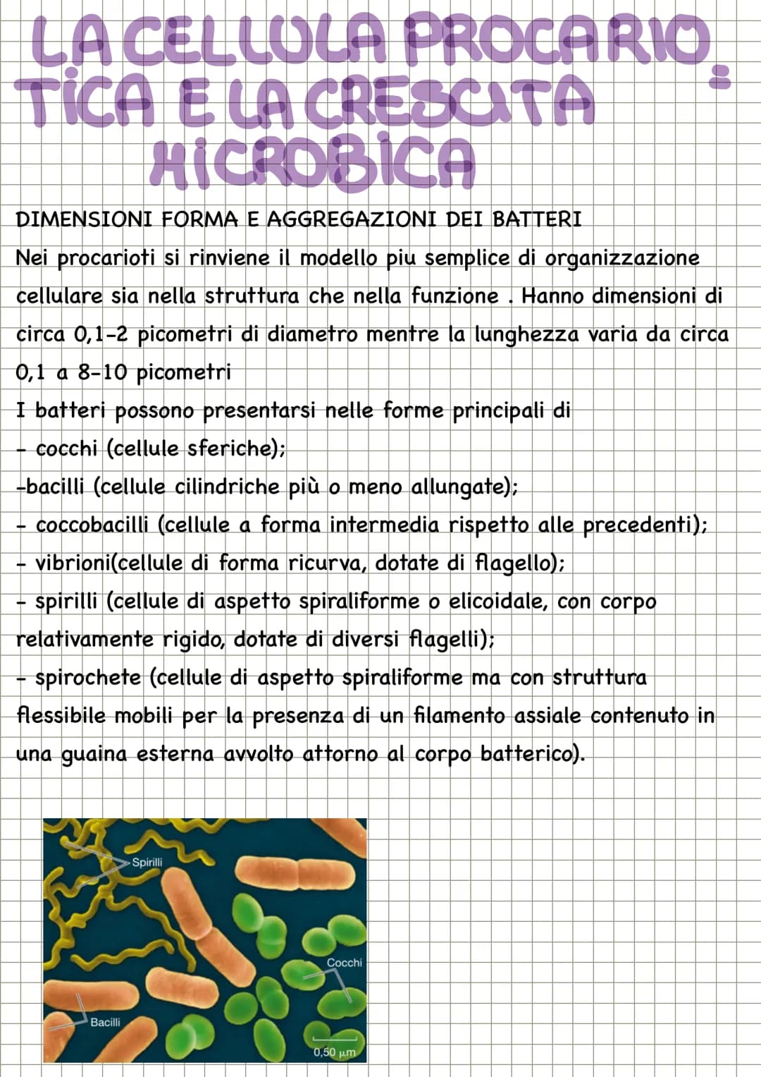 # CHECOS'E LA
MICROBIOLOGIA
La microbiologia è la scienza che studia i microrganismi, distribuiti nei
tre domini: Archea, dei Bacteria e de
