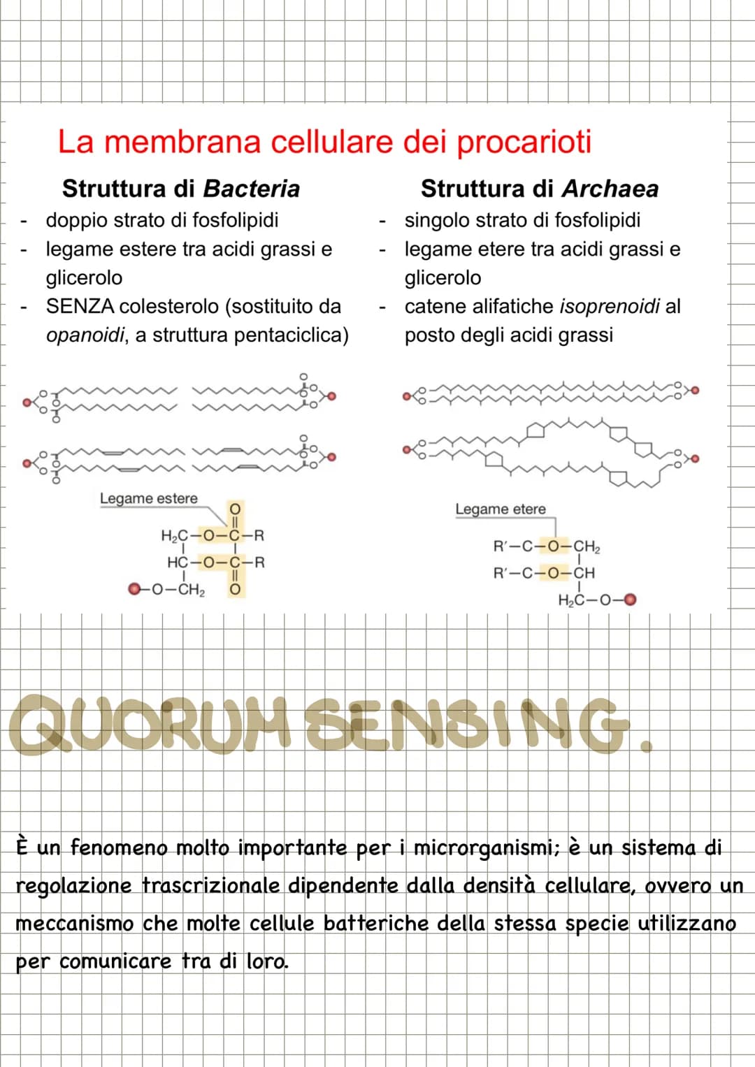 # CHECOS'E LA
MICROBIOLOGIA
La microbiologia è la scienza che studia i microrganismi, distribuiti nei
tre domini: Archea, dei Bacteria e de