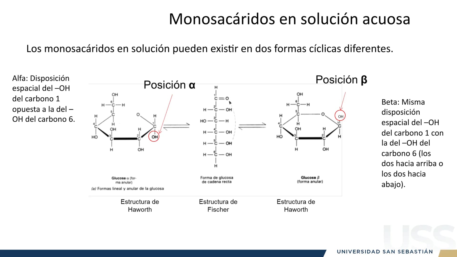 RAZON
VERDAD
+++
1989
UNIVERSIDAD
SAN SEBASTIAN
Ilumina el futuro
DBIO1092:
BIOQUÍMICA GENERAL
TEÓRICO RAZON
VERDAD
+++
1989
UNIVERSIDAD
S
