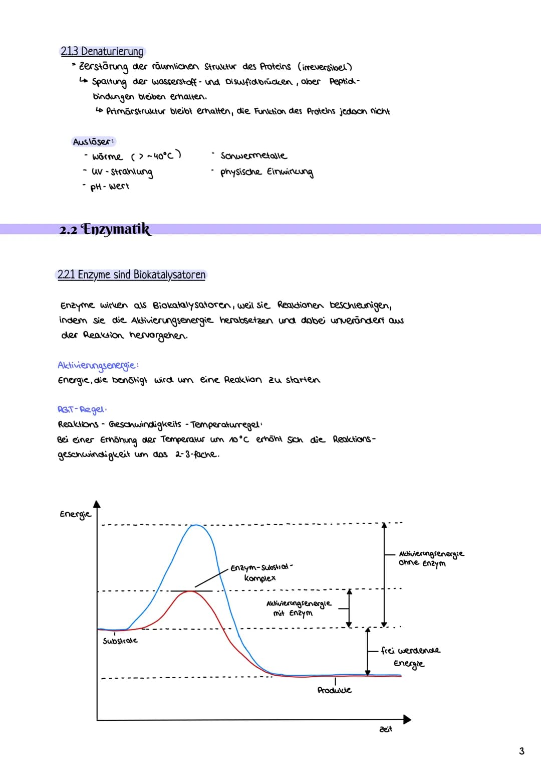 # Enzymatik
2.1 Proteine
2.1.1 Aufbau und Funktion von Proteinen
- Proteine bestehen aus Ketten von Aminosäuren (AS über Peptidbindungen