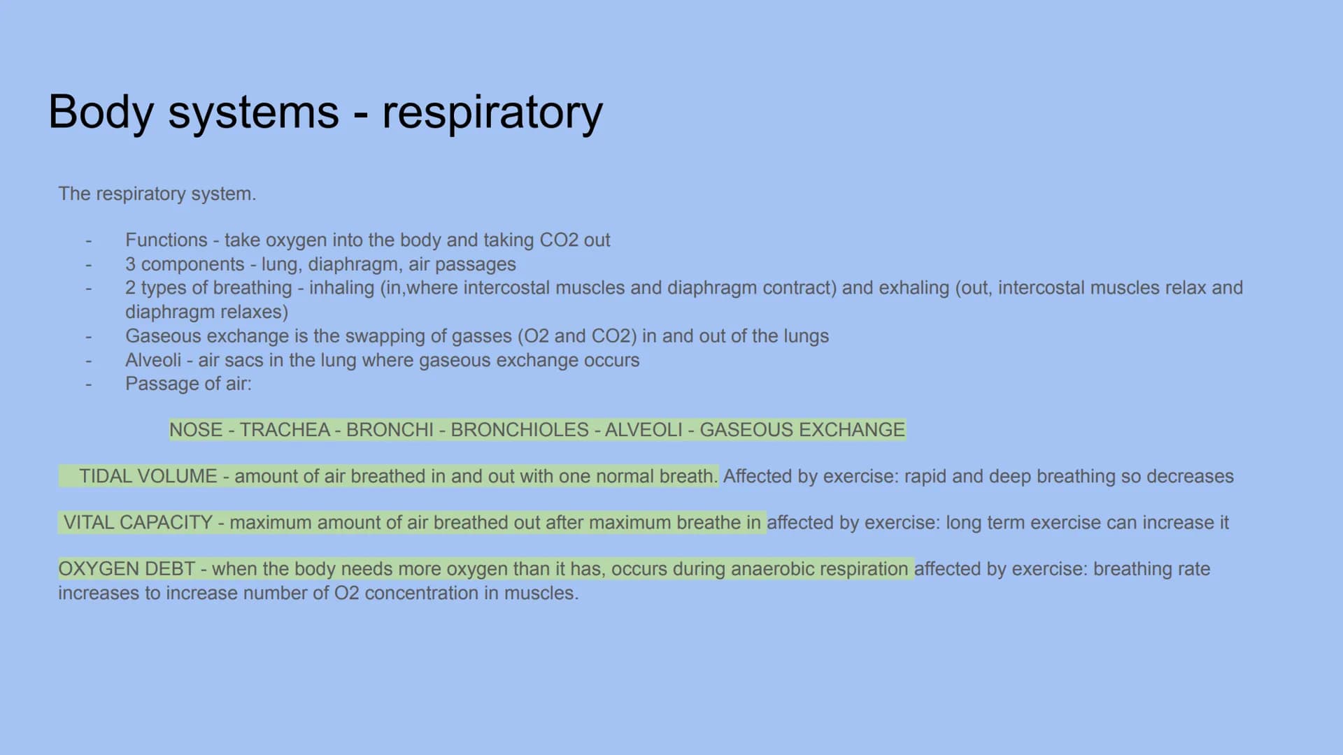 Body Systems- respiratory and cardiovascular # Body systems - respiratory
The respiratory system.
- Functions - take oxygen into the body