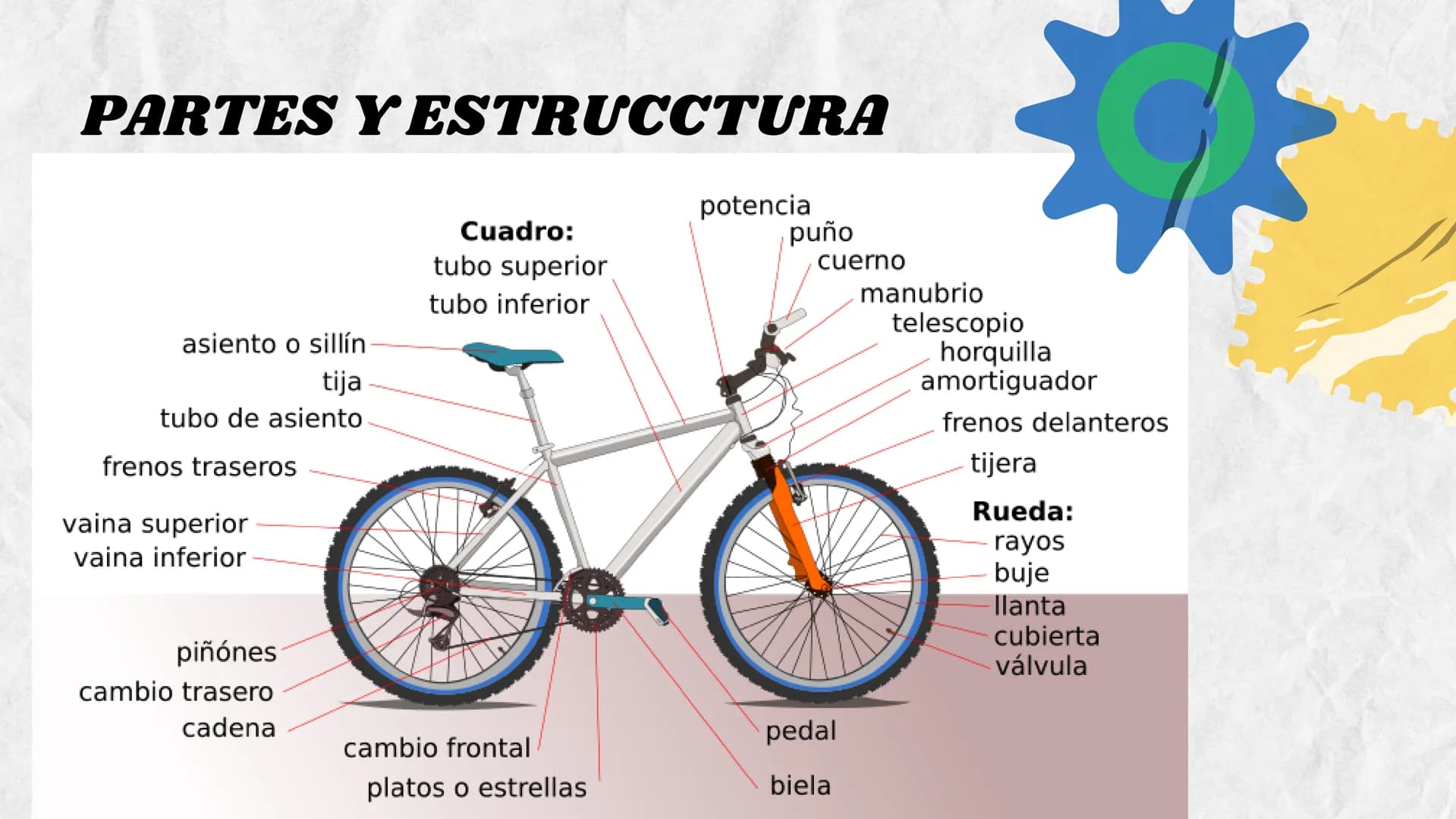 # LA BICICLETA origen
La creación de la bicicleta se le
atribuye a Karl Freiherr von
Drais, fue en 1817 cuando el
mundo vio por primera vez