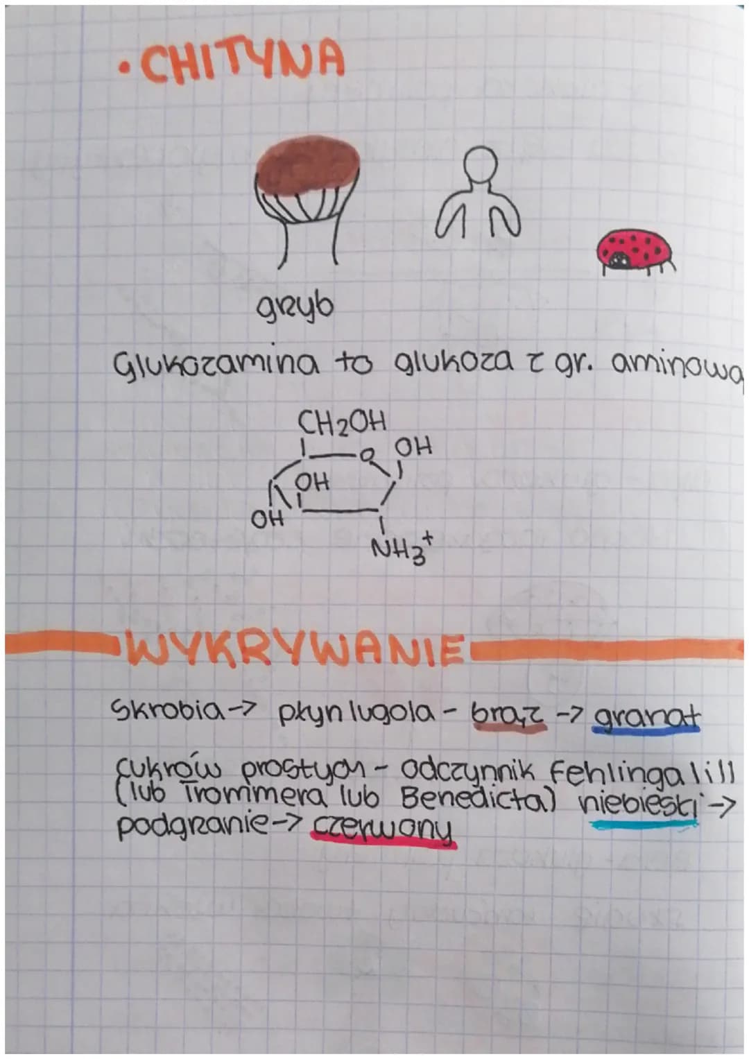 # Cukry
CH2OH
H
-sacharydy K
OH
węglowy tańc. + grupa OH + gr. aldehyd/keton
ewdzarje
MONOSACHARYDY
OLIGOSACHARYDY
POLISACHARYDY
* Maj