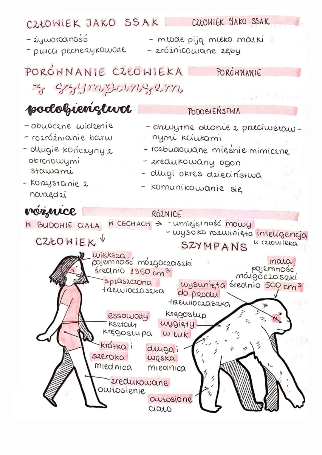 # ewolucja
źródła wiedzy o ewolucji
EWOLUCJA
EWOLUCJA
4 to proces zmian zachodzących w organizmach, które
prowadzą do powstawania nowych