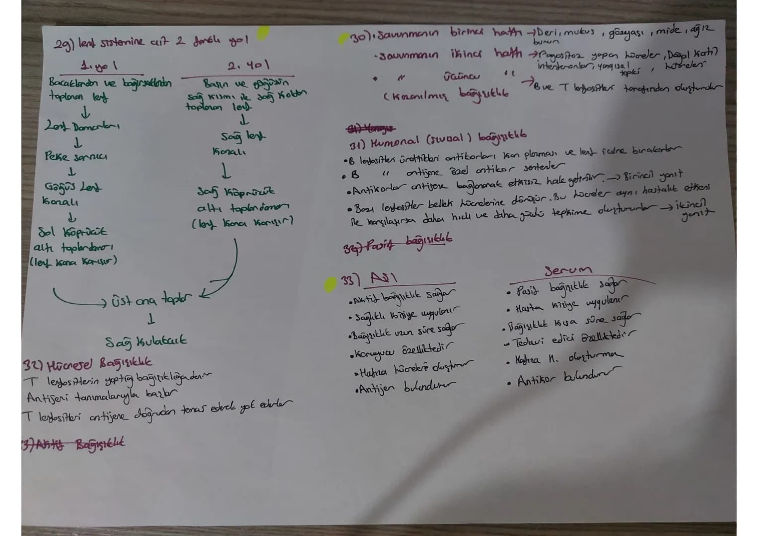 # 1 On iki Parmak bağırsağıdan 3 Mormon Jalgılanır
- Karaciğeri yarıp daha üretimi Üretimi ve salgılanmasını sağlar
- sekretin+Pantbreau, uy