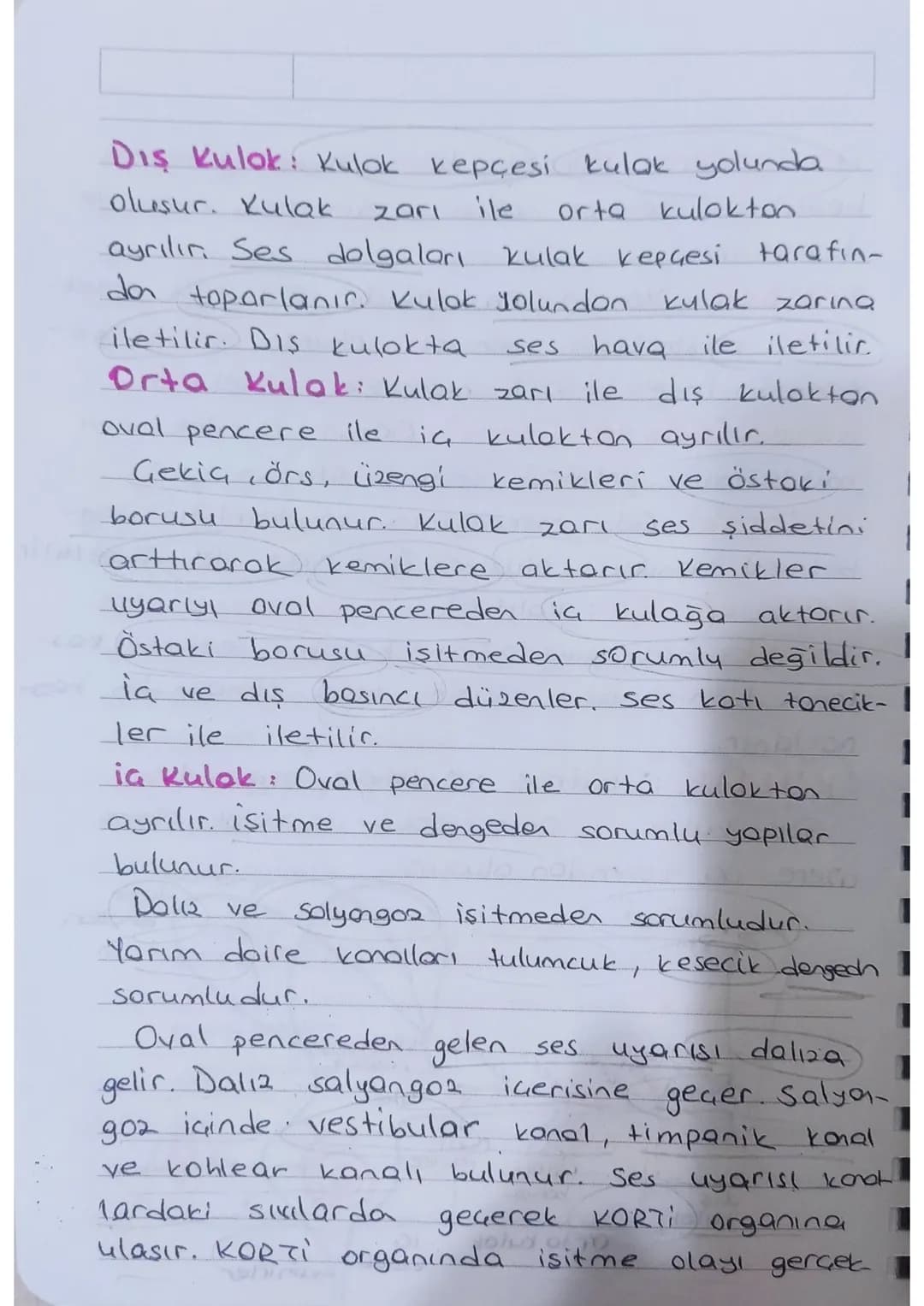 * KULAK: isitme ve denge organıdır.
Dis kulok - Orta kulok - iç kulok olmak
üzere üç kısımdan oluşur.
Kulakuesi
kepçesi
yarım
doire
kono