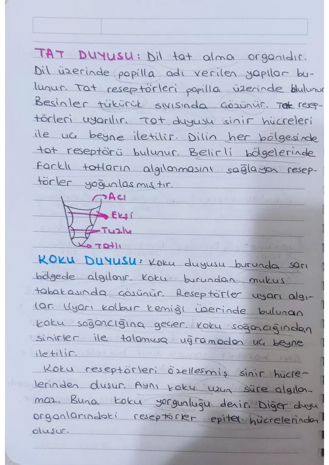 * KULAK: isitme ve denge organıdır.
Dis kulok - Orta kulok - iç kulok olmak
üzere üç kısımdan oluşur.
Kulakuesi
kepçesi
yarım
doire
kono