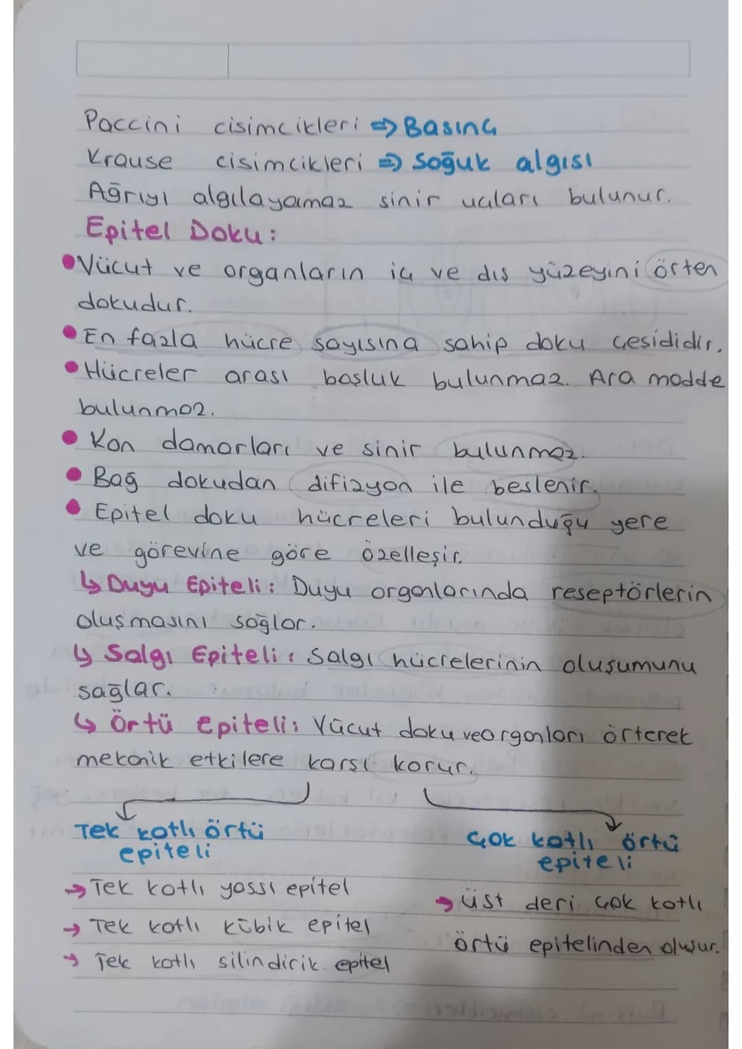 * KULAK: isitme ve denge organıdır.
Dis kulok - Orta kulok - iç kulok olmak
üzere üç kısımdan oluşur.
Kulakuesi
kepçesi
yarım
doire
kono