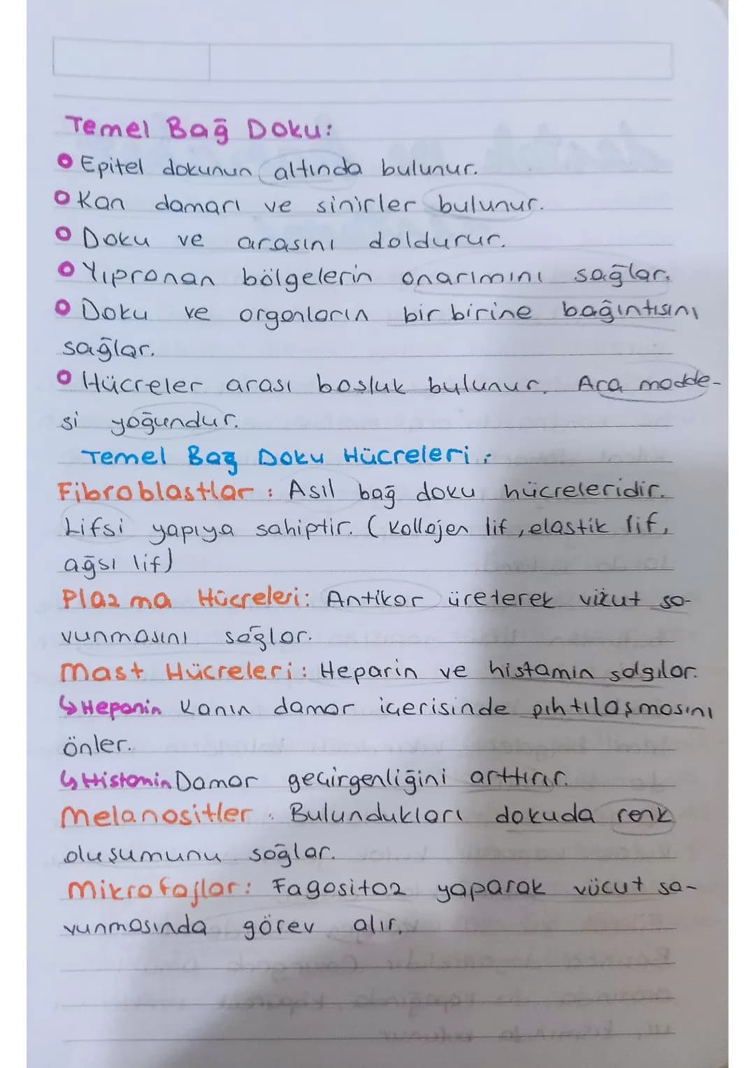 * KULAK: isitme ve denge organıdır.
Dis kulok - Orta kulok - iç kulok olmak
üzere üç kısımdan oluşur.
Kulakuesi
kepçesi
yarım
doire
kono