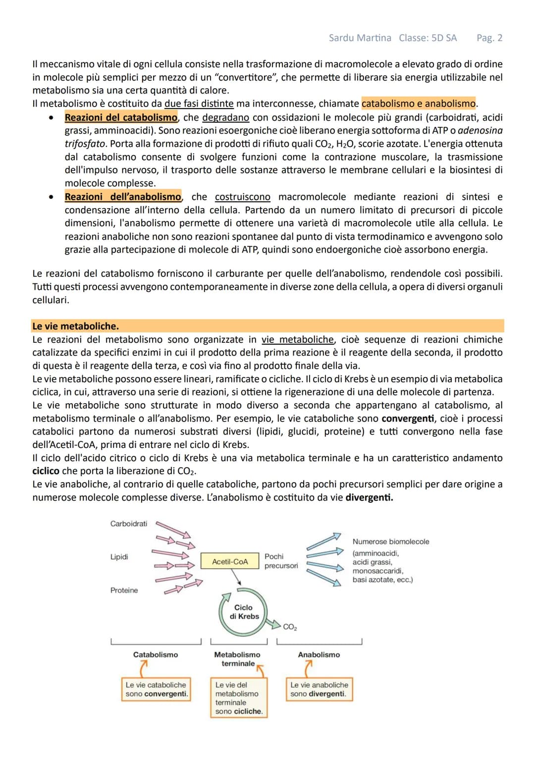 Sardu Martina Classe: 5D SA Pag. 1
# IL METABOLISMO
Gli organismi viventi sono costituiti da cellule in queste strutture avvengono continu